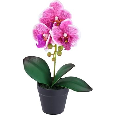Flair Flower Künstliche Orchidee Phalaenopsis im Topf 30cm Real Touch Blüten realistische exotisch Blume Kunstblume Kunstorchidee Kunstpflanze Zimmerblume Zimmerdeko Hochzeit pflegeleicht Deko Seidenblume Flair Flower Künstliche Orchidee Phalaenopsis im Topf 30cm Real Touch Blüten realistische exotisch Blume Kunstblume Kunstorchidee Kunstpflanze Zimmerblume Zimmerdeko Hochzeit pflegeleicht Deko Seidenblume
