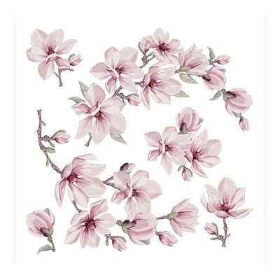 AG Design Magnolienblüte Küche, Wohnzimmer, Büro, Schlafzimmer Wandstickers, Wandtattoo, Decals von 30 x 30 cm SSA 3874 AG Design Magnolienblüte Küche, Wohnzimmer, Büro, Schlafzimmer Wandstickers, Wandtattoo, Decals von 30 x 30 cm SSA 3874