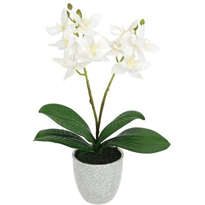 Flair Flower Kunstblume Orchidee 30cm mit Blätter im Topf Künstliche Blume Kunstorchidee Phalaenopsis mit Übertopf Kunstpflanze Hochzeit Deko Dekoblume Seidenblume Real Touch Blüte Flair Flower Kunstblume Orchidee 30cm mit Blätter im Topf Künstliche Blume Kunstorchidee Phalaenopsis mit Übertopf Kunstpflanze Hochzeit Deko Dekoblume Seidenblume Real Touch Blüte