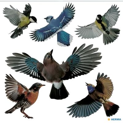 Herma Warnvögel Vogel Aufkleber Set für Fensterscheiben groß, 30 Stück, 30 x 30 cm, selbstklebend, ablösbar und wiederverwendbar, Vogelschutz für Fenster aus wetterfester Hart-Folie, bunt Herma Warnvögel Vogel Aufkleber Set für Fensterscheiben groß, 30 Stück, 30 x 30 cm, selbstklebend, ablösbar und wiederverwendbar, Vogelschutz für Fenster aus wetterfester Hart-Folie, bunt