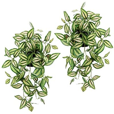 Flair Flower Künstlicher Tradescantiahänger mit Topf, 2er Set Kunstpflanze Tradescantia hängend Deko Hängepflanze Rankende Girlande Pflanzenampel Ampel Grünpflanze Zimmerpflanze Kletterpflanze Efeuranke Efeu Flair Flower Künstlicher Tradescantiahänger mit Topf, 2er Set Kunstpflanze Tradescantia hängend Deko Hängepflanze Rankende Girlande Pflanzenampel Ampel Grünpflanze Zimmerpflanze Kletterpflanze Efeuranke Efeu