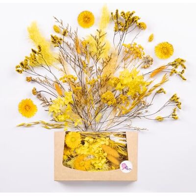 ART Echte & natürliche getrocknete Blumen als Geschenk zum Muttertag & Ostern, zum Basteln mit Resin oder Osterdekoration, Blüten und Trockenblumen Set, Gastgeschenk für Hochzeit (Gelb) ART Echte & natürliche getrocknete Blumen als Geschenk zum Muttertag & Ostern, zum Basteln mit Resin oder Osterdekoration, Blüten und Trockenblumen Set, Gastgeschenk für Hochzeit (Gelb)