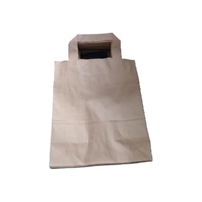GREENBOX Umweltschonende Papier Tragetaschen groß I Papiertüten Geschenktüten Papiertragetaschen biologisch abbaubar, kompostierbar I 25 x braune Papier Tüten 18 x 8 x 22 cm GREENBOX Umweltschonende Papier Tragetaschen groß I Papiertüten Geschenktüten Papiertragetaschen biologisch abbaubar, kompostierbar I 25 x braune Papier Tüten 18 x 8 x 22 cm