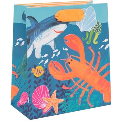 Glick Luxus Mittlere Geschenktüte Unter dem Meer für Geburtstage, Jungen 200 x 225 x 100 mm, Blau & Orange Glick Luxus Mittlere Geschenktüte Unter dem Meer für Geburtstage, Jungen 200 x 225 x 100 mm, Blau & Orange