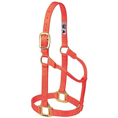 Weaver Leather Orange Dreiblagiger Halfter - Halter Weaver Leather Orange Dreiblagiger Halfter - Halter