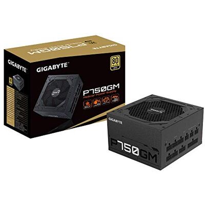 Gigabyte GP-P750GM Gigabyte GP-P750GM