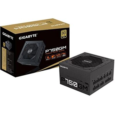 Gigabyte P750GM 750W 80 Plus Gold Full Modular Gigabyte P750GM 750W 80 Plus Gold Full Modular