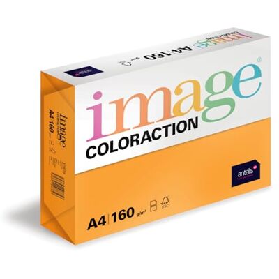 IMAGE Coloraction Venezia farbiges Kopierpapier DIN A4, 210 x 297 mm, 160 g/m² buntes, holzfreies Druckerpapier für Kopierer 250 Blatt Altgold IMAGE Coloraction Venezia farbiges Kopierpapier DIN A4, 210 x 297 mm, 160 g/m² buntes, holzfreies Druckerpapier für Kopierer 250 Blatt Altgold