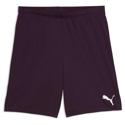 Puma teamGOAL Shorts Puma teamGOAL Shorts