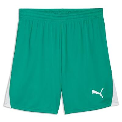 Puma teamLIGA26 Shorts Puma teamLIGA26 Shorts