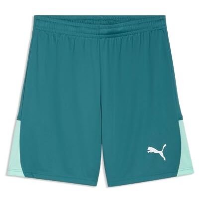 Puma teamLIGA26 Shorts Puma teamLIGA26 Shorts