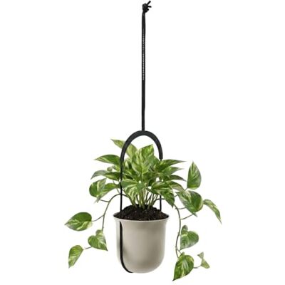 Lamela Blumenampel Kunststoff Robuster Hängetopf Ø 18 cm x H 17,3 cm, 2,3 L Höhenverstellbar & Wetterfest Für Innen & Außen Beige Lamela Blumenampel Kunststoff Robuster Hängetopf Ø 18 cm x H 17,3 cm, 2,3 L Höhenverstellbar & Wetterfest Für Innen & Außen Beige