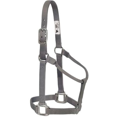 Weaver Equine Weaver Leather Nicht verstellbares Halfter, 2,5 cm, durchschnittliche Pferdegröße, Graphit Weaver Equine Weaver Leather Nicht verstellbares Halfter, 2,5 cm, durchschnittliche Pferdegröße, Graphit