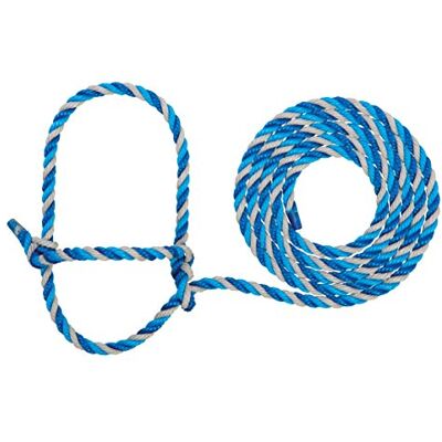 Weaver Livestock Weaver Halfter aus Lederseil, 35-7900-H34, Dunkelblau/Türkis/Grau, Kuh Weaver Livestock Weaver Halfter aus Lederseil, 35-7900-H34, Dunkelblau/Türkis/Grau, Kuh