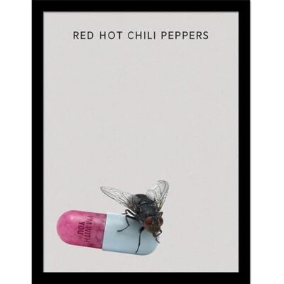 Pyramid Red Hot Chili Peppers (I'm With You) Sammlerdruck – 30 cm x 40 cm Wandkunst-Poster – Offiziell lizenziertes Musikdekor – Einheitsgröße Pyramid Red Hot Chili Peppers (I'm With You) Sammlerdruck – 30 cm x 40 cm Wandkunst-Poster – Offiziell lizenziertes Musikdekor – Einheitsgröße