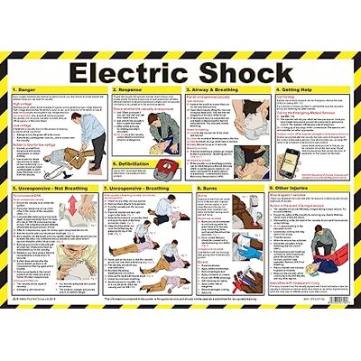 Safety First Aid Group Safety First Aid Electric Shock Poster, laminiert (59 x 42 cm) Safety First Aid Group Safety First Aid Electric Shock Poster, laminiert (59 x 42 cm)