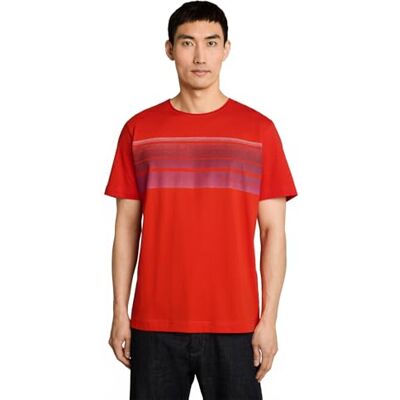 TOM TAILOR Herren 1052133 T-Shirt mit Print auf der Brust TOM TAILOR Herren 1052133 T-Shirt mit Print auf der Brust
