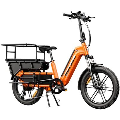 HOVSCO Elektrofahrrad Lasten-E-Bike für Damen Herren 20"x3.0" Fat Tire E Bike mit App-Steuerung & Federung, 48V 15AH Akku 250W Motor 204kg Maximalbelastung 55KM Reichweite HOVSCO Elektrofahrrad Lasten-E-Bike für Damen Herren 20"x3.0" Fat Tire E Bike mit App-Steuerung & Federung, 48V 15AH Akku 250W Motor 204kg Maximalbelastung 55KM Reichweite