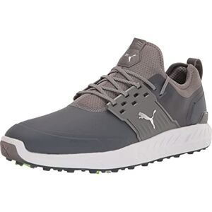 Puma Herren Ignite Articulate Golfschuh, Quiet Shade Silver-Quiet Shade, 42.5 EU Puma Herren Ignite Articulate Golfschuh, Quiet Shade Silver-Quiet Shade, 42.5 EU