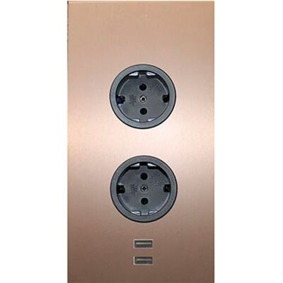 Caressi Ecksteckdose 2ST220 Steckdose 2fach mit 2x USB für die vertikale Montage in einer Ecke, Edelstahl, 230V Caressi Ecksteckdose 2ST220 Steckdose 2fach mit 2x USB für die vertikale Montage in einer Ecke, Edelstahl, 230V