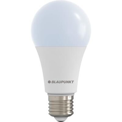 Blaupunkt E27 LED Glühbirne A65 Matt Frosted – 18W (ersetzt bis zu 150W), Superhelle 1980 Lumen, 6000K Kaltweiß, Nicht-Dimmbar, Augenfreundlich & Flimmerfrei, Hauptbeleuchtung – Einzelpack Blaupunkt E27 LED Glühbirne A65 Matt Frosted – 18W (ersetzt bis zu 150W), Superhelle 1980 Lumen, 6000K Kaltweiß, Nicht-Dimmbar, Augenfreundlich & Flimmerfrei, Hauptbeleuchtung – Einzelpack