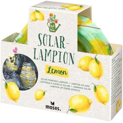 moses . Blatt & Blüte Solarlampion – Stimmungsvolle Solarleuchte im Design, mit warmweißes LED-Licht, automatisch aufladbar, wetterfest (IP44), für Garten, Balkon & Terrasse inklusive Geschenkbox moses . Blatt & Blüte Solarlampion – Stimmungsvolle Solarleuchte im Design, mit warmweißes LED-Licht, automatisch aufladbar, wetterfest (IP44), für Garten, Balkon & Terrasse inklusive Geschenkbox