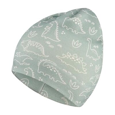 Sterntaler Beanie aus Sweat mit Flauschiger Rückseite und Saurier-Print – Jungen – weich und pflegeleicht – Mütze für Baby und Kinder, steingrün, Größe 55 Sterntaler Beanie aus Sweat mit Flauschiger Rückseite und Saurier-Print – Jungen – weich und pflegeleicht – Mütze für Baby und Kinder, steingrün, Größe 55