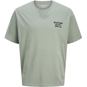 JACK & JONES Jjwobly Tee Ss Crew Neck JACK & JONES Jjwobly Tee Ss Crew Neck