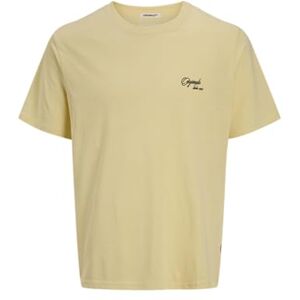 JACK & JONES Jorhydra Back Sketch Tee Ss Crew Neck JACK & JONES Jorhydra Back Sketch Tee Ss Crew Neck
