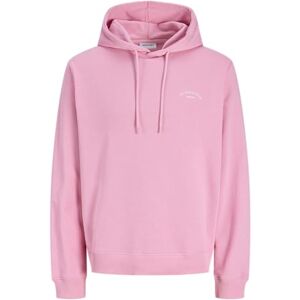 JACK & JONES Jjcollege Logo Sweat Hood JACK & JONES Jjcollege Logo Sweat Hood