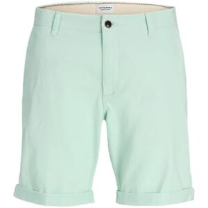 JACK & JONES Jpstbasic Jjchino Shorts AOP Reg JACK & JONES Jpstbasic Jjchino Shorts AOP Reg