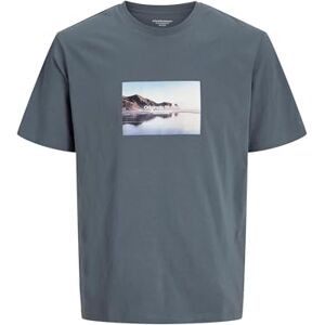 JACK & JONES Jorvesterbro Picture Tee Ss Crew Neck Sn JACK & JONES Jorvesterbro Picture Tee Ss Crew Neck Sn