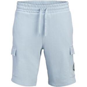 JACK & JONES Jpstgordon Alliance Sweat Shorts JACK & JONES Jpstgordon Alliance Sweat Shorts