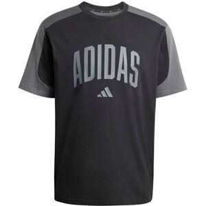 Adidas Men's Collegiate T-Shirt, Black/Grey six, S Adidas Men's Collegiate T-Shirt, Black/Grey six, S