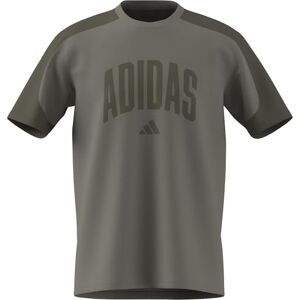Adidas Men's Collegiate T-Shirt, Silver Pebble/Olive strata, M Adidas Men's Collegiate T-Shirt, Silver Pebble/Olive strata, M