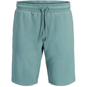 JACK & JONES Jpstgordon Bradley Sweat Shorts Mid Noos JACK & JONES Jpstgordon Bradley Sweat Shorts Mid Noos