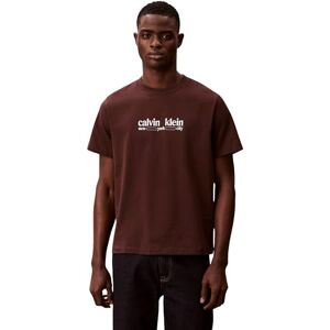 Calvin Herren T-Shirt Kurzarm Graphic mit Rundhalsausschnitt, Braun (Rich Brown), 2XL Calvin Herren T-Shirt Kurzarm Graphic mit Rundhalsausschnitt, Braun (Rich Brown), 2XL