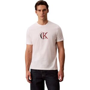 Calvin Herren T-Shirt Kurzarm Graphic mit Rundhalsausschnitt, Weiß (White Greige), L Calvin Herren T-Shirt Kurzarm Graphic mit Rundhalsausschnitt, Weiß (White Greige), L