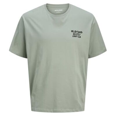 JACK & JONES Jjwobly Tee Ss Crew Neck JACK & JONES Jjwobly Tee Ss Crew Neck