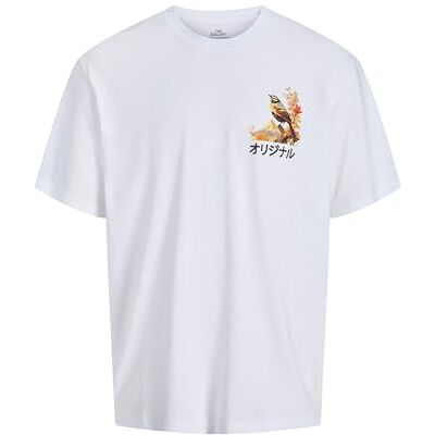 JACK & JONES Jorfuji Tee Ss Crew Neck Tg JACK & JONES Jorfuji Tee Ss Crew Neck Tg