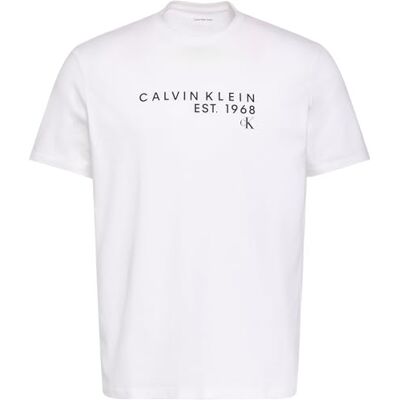 Calvin Herren T-Shirt Kurzarm Graphic mit Rundhalsausschnitt, Weiß (Bright White), XS Calvin Herren T-Shirt Kurzarm Graphic mit Rundhalsausschnitt, Weiß (Bright White), XS