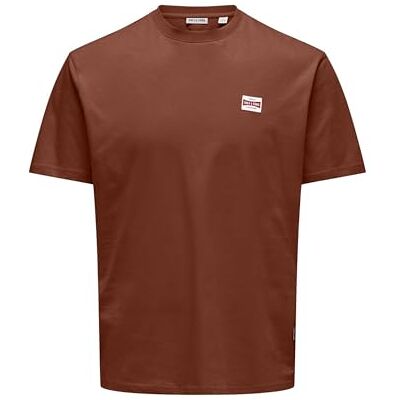 Only & Sons Onsdawson Reg Ss Tee Vd Only & Sons Onsdawson Reg Ss Tee Vd