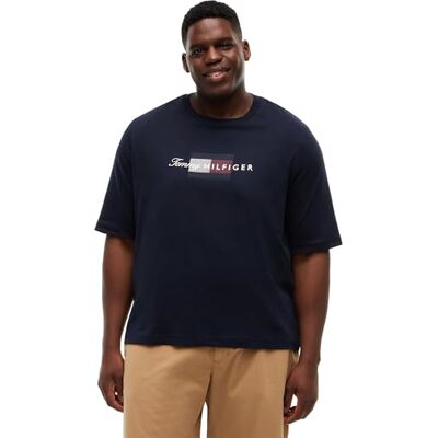 Tommy Hilfiger Herren T-Shirt Kurzarm Script Flag aus Baumwolle, Blau (Desert Sky), 3XL Tommy Hilfiger Herren T-Shirt Kurzarm Script Flag aus Baumwolle, Blau (Desert Sky), 3XL