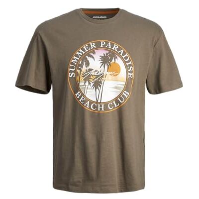JACK & JONES Jjowen Summer Tee Ss Crew Neck JACK & JONES Jjowen Summer Tee Ss Crew Neck