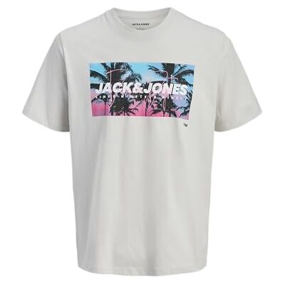 JACK & JONES Jjindiana Tee Ss Crew Neck JACK & JONES Jjindiana Tee Ss Crew Neck