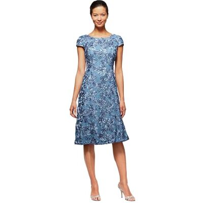 Alex Evenings Damen Tee-langes Brautmutter mit Rosetten-Spitzendetail (Zierliche und Normale Größen) Kleid für besondere Anlässe, Perwinkle Petite, 46 Alex Evenings Damen Tee-langes Brautmutter mit Rosetten-Spitzendetail (Zierliche und Normale Größen) Kleid für besondere Anlässe, Perwinkle Petite, 46