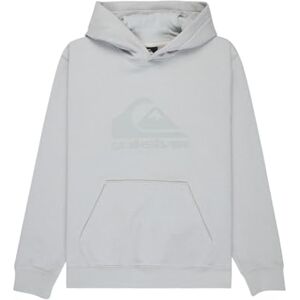 Quiksilver Fleecepullover COMP Logo Hoodie, Jungen, 8-16 Jahre, Grau Quiksilver Fleecepullover COMP Logo Hoodie, Jungen, 8-16 Jahre, Grau