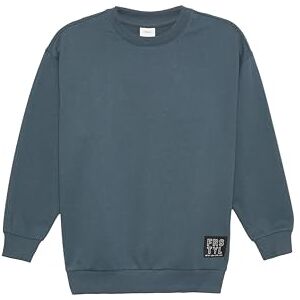 LDKEKDF S.Oliver Junior Jungen 2160639 Pullover, 9515, 140 EU LDKEKDF S.Oliver Junior Jungen 2160639 Pullover, 9515, 140 EU