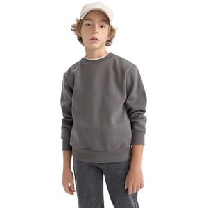 DeFacto Jungen Sweatshirt Bequeme Sweatshirts für Kinder Stylische Pullover und Fleecepullover für Jungen DeFacto Jungen Sweatshirt Bequeme Sweatshirts für Kinder Stylische Pullover und Fleecepullover für Jungen