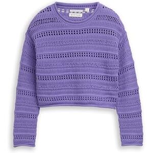 TOM TAILOR Kinder Strickpullover mit Streifenmuster TOM TAILOR Kinder Strickpullover mit Streifenmuster